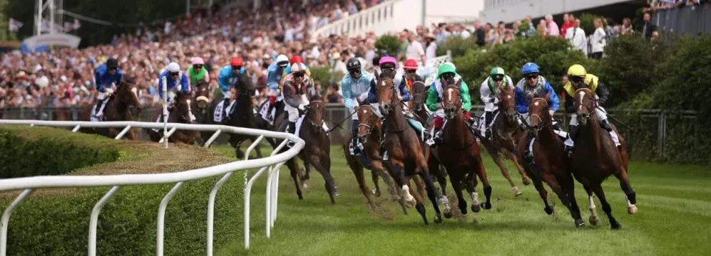 imgi_55_Due07081699270-e1728476477912-1024x360